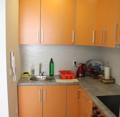 Center * 塞拉耶佛