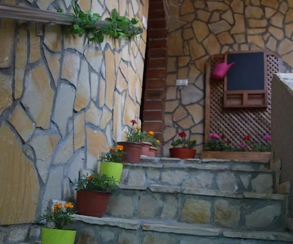 Center * 塞拉耶佛